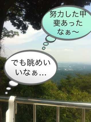 北斗の件 ~パワースポット 高尾山編~_f0236990_1521541.jpg