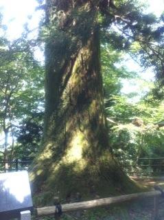 北斗の件 ~パワースポット 高尾山編~_f0236990_152513.jpg