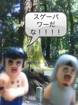 北斗の件 ~パワースポット 高尾山編~_f0236990_1532252.jpg