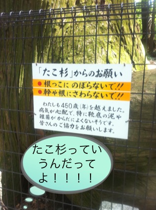 北斗の件 ~パワースポット 高尾山編~_f0236990_153247.jpg