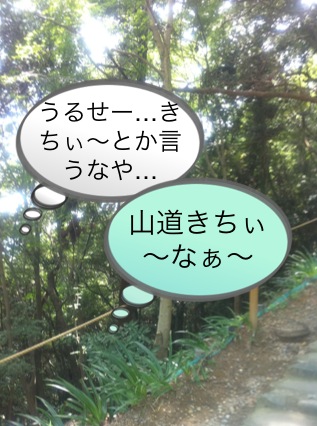 北斗の件 ~パワースポット 高尾山編~_f0236990_1574831.jpg