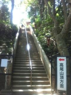 北斗の件 ~パワースポット 高尾山編~_f0236990_1575640.jpg