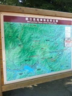 北斗の件 ~パワースポット 高尾山編~_f0236990_1584516.jpg