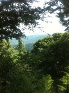 北斗の件 ~パワースポット 高尾山編~_f0236990_1591328.jpg