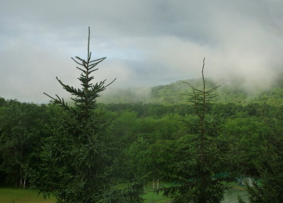 a0127398_136670.jpg