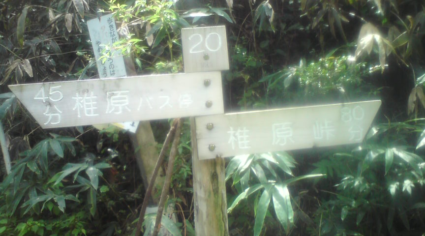 f0036700_105940100.jpg