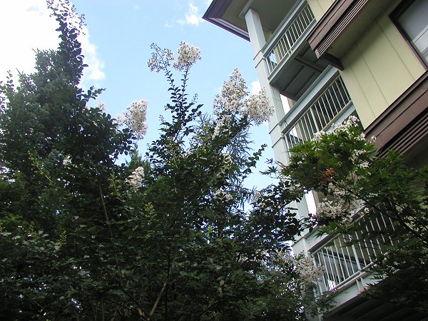 f0217305_19405781.jpg