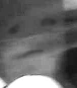e0103408_1312196.gif
