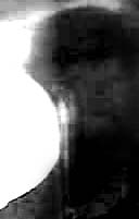 e0103408_13123233.gif