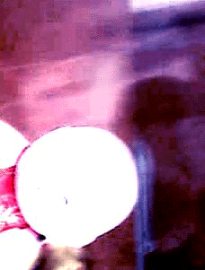 e0103408_1312862.gif