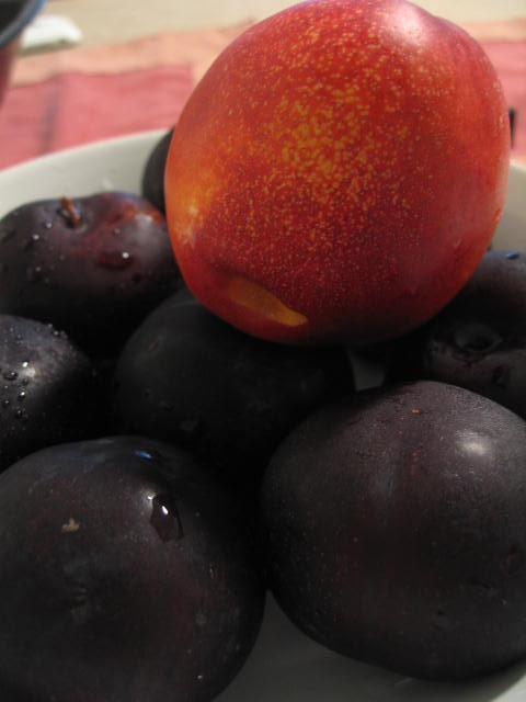 f0036409_10311411.jpg
