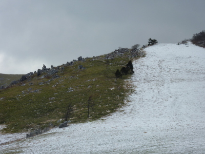 f0157115_36577.jpg
