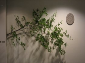 d0149223_23561714.jpg