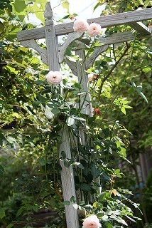 f0170524_12203682.jpg