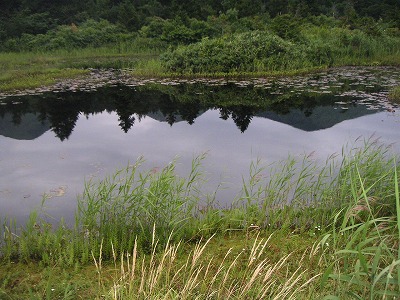 c0090327_2213636.jpg