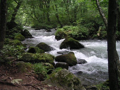 c0090327_23224080.jpg