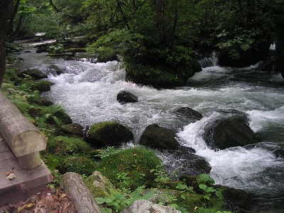 c0090327_2323689.jpg
