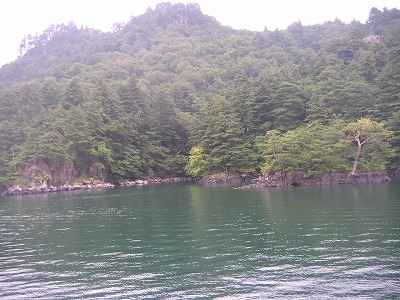 c0090327_23281428.jpg