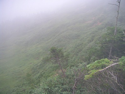 c0090327_234884.jpg
