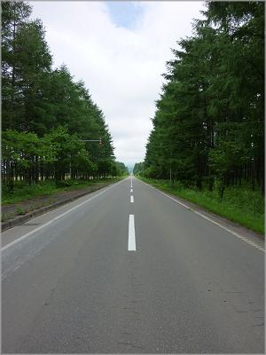 d0110130_9415311.jpg