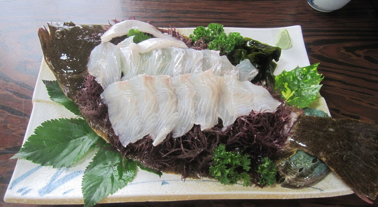美味しいヒラメの刺身を召し上がれ Pokokichiの Kira Kira 日記 美味しいヒラメの刺身を召し上がれ Pokokichiの Kira Kira 日記
