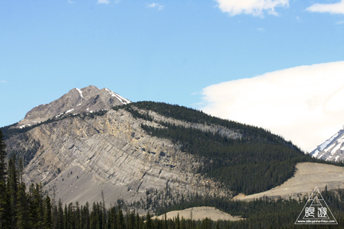 064 Icefields Parkway ~素晴らしい角~_c0211532_1334499.jpg