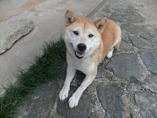 f0210340_16521341.jpg