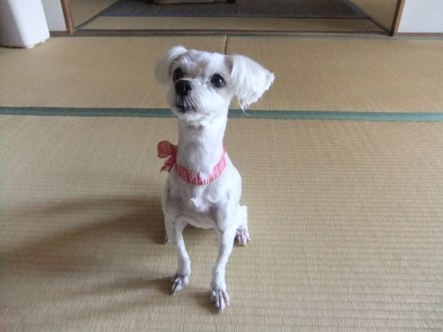 f0210340_16532032.jpg