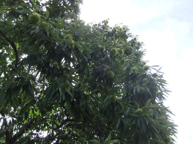f0210340_16544353.jpg