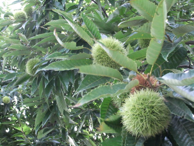 f0210340_16554164.jpg