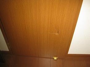 長男爆発したらしい?_a0139242_6513282.jpg