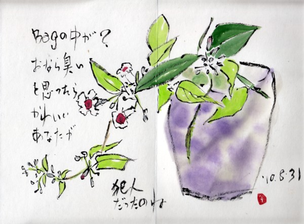 名は体を表さないこともあるのだ_e0074955_22253866.jpg