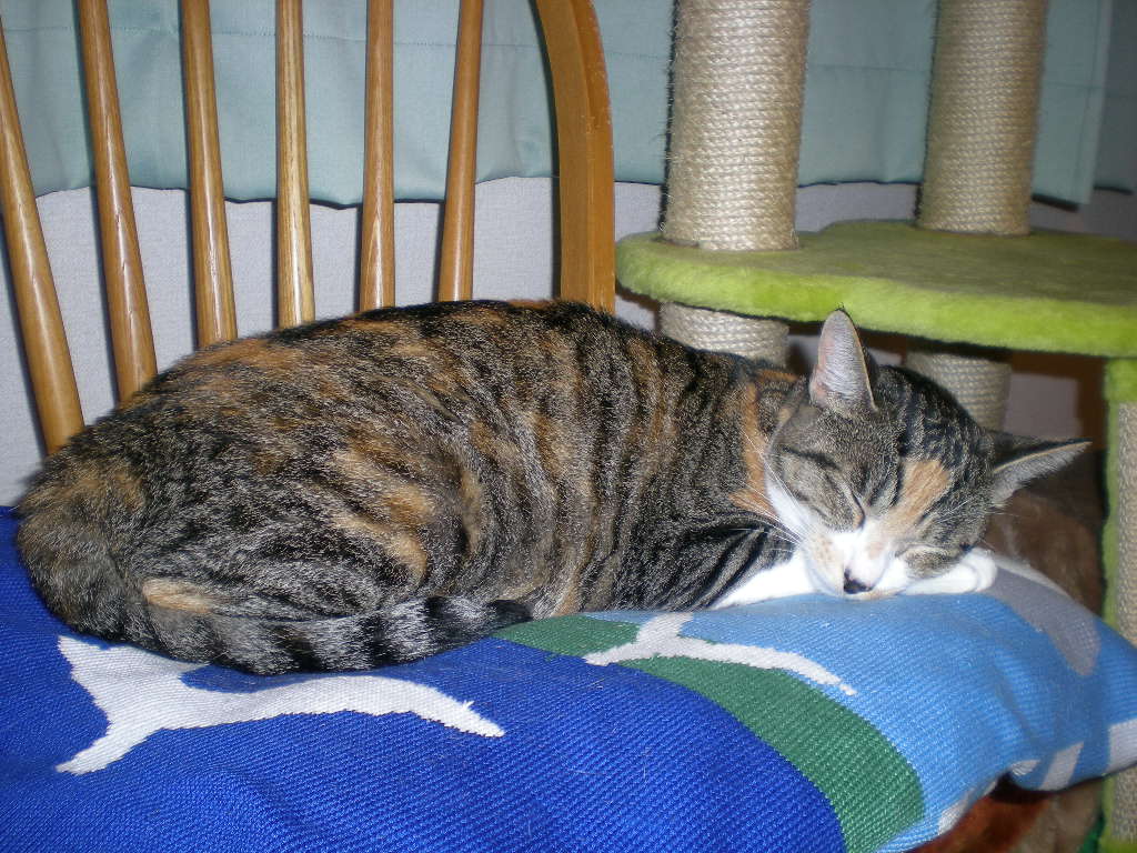 2010年9月1日(水)巨匠になりたい!_f0060461_11341461.jpg