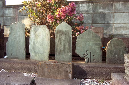 e0018762_8584852.jpg