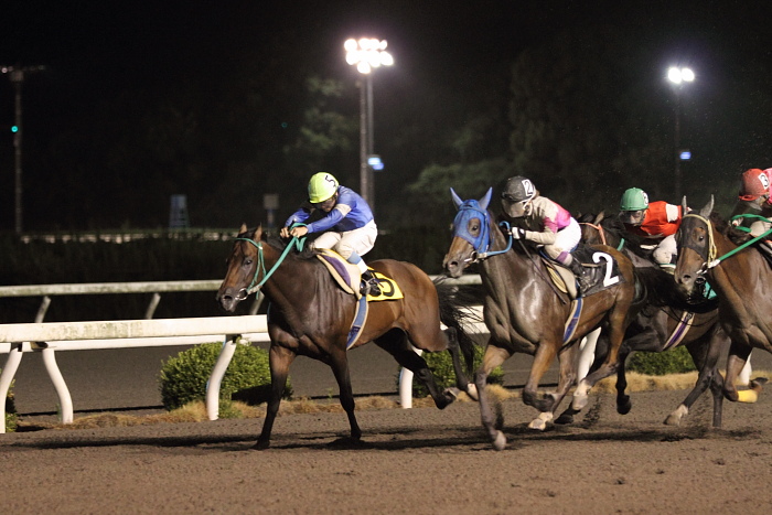 2010年8月28日（土） 高知競馬 11R 一発逆転 ファイナルレース C3-7 記者選抜_a0077663_8264958.jpg