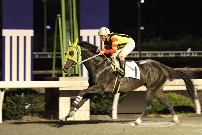 2010年8月28日（土） 高知競馬 11R 一発逆転 ファイナルレース C3-7 記者選抜_a0077663_8271049.jpg