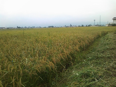 c0166668_2346475.jpg