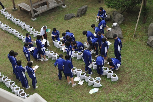 栽培　今の子どもにとって必要な学習_b0068572_21162389.jpg