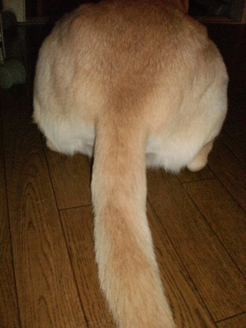 f0052277_2151010.jpg