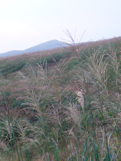 c0228978_10235937.jpg