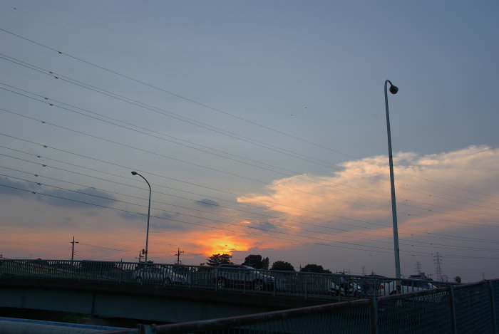 b0120979_8503098.jpg