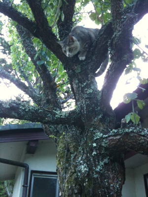 ローソク温泉に行ってきました 9月1日 Michiko やさしい暮し舎 ローソク温泉に行ってきました 9月1日 Michiko やさしい暮し舎