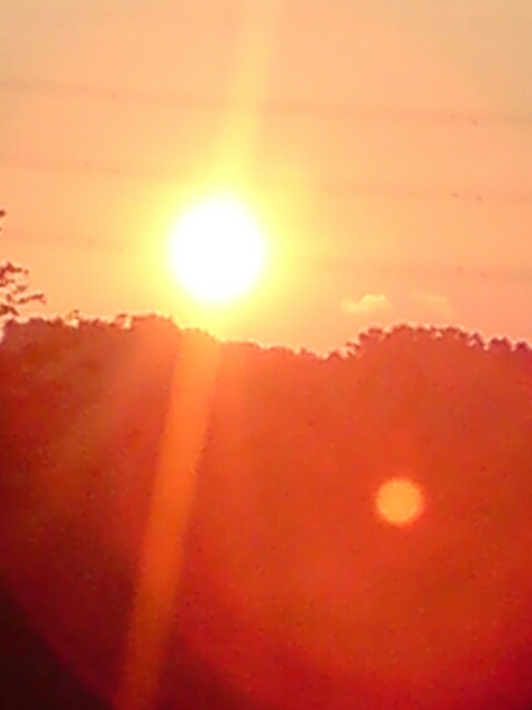 新柳の夕日。_d0182179_17571964.jpg