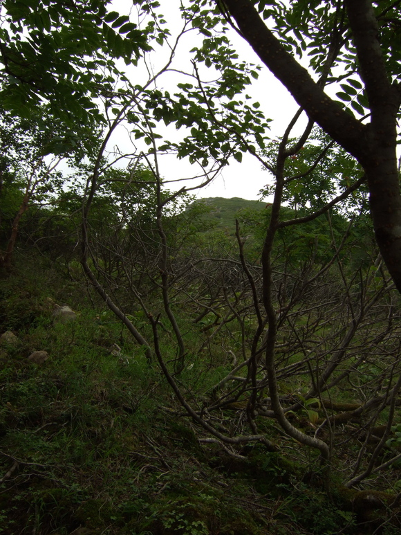 a0094280_21481759.jpg