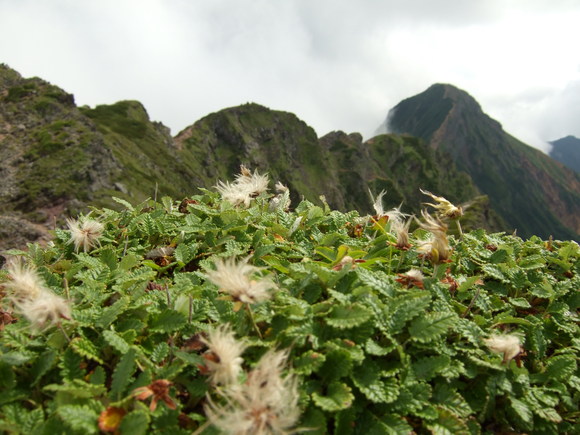 a0094280_2150860.jpg