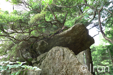 limacのお誕生日ツアー@瑞牆　写真＆雑記_c0173794_2247994.jpg