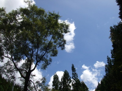 b0191595_8105175.jpg
