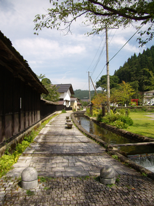 d0067498_021993.jpg