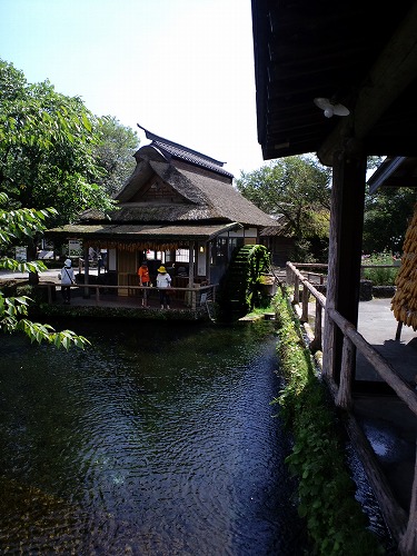 f0147602_8335688.jpg