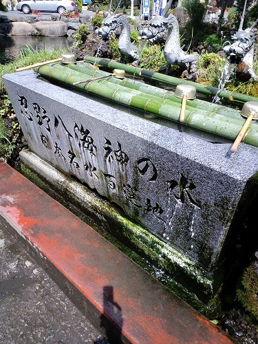 f0147602_834874.jpg